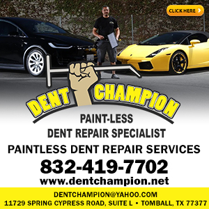 DENT CHAMPION - Paintless Dent Repair Listing Image