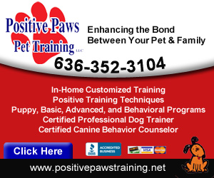 Positive Paws Pet Training Listing Image