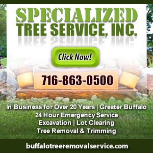 Call Specialized Tree Services Inc. Today!