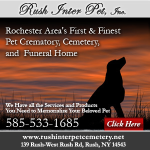 Call Rush Inter Pet, Inc Today!