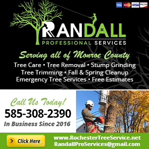 Call Randall Professional Services Today!