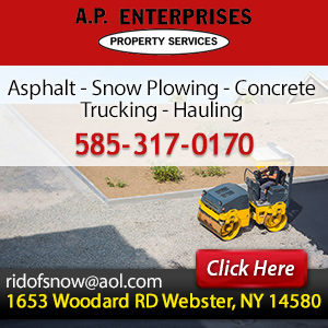 Call A.P. Property Services of Webster LLC Today!