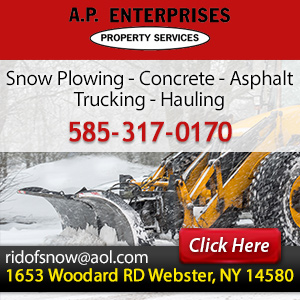 Call A.P. Property Services of Webster LLC Today!