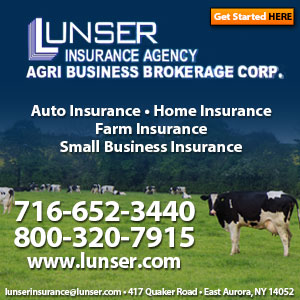 Call Lunser Insurance Agency Today!
