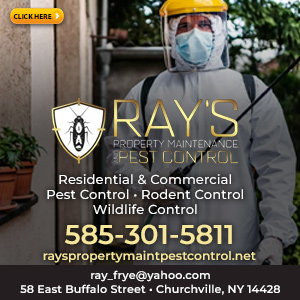 Ray's Property Maintenance and Pest Control Listing Image